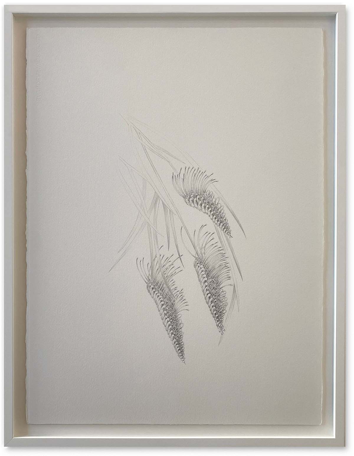 Flowers_Tane Andrews@2x